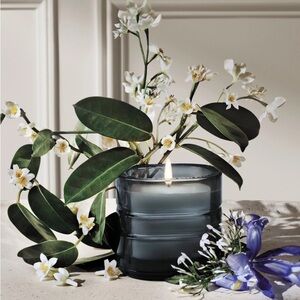 Diptyque Les Mondes de Diptyque Nymphees Merveilles Diptyque Refillable candle